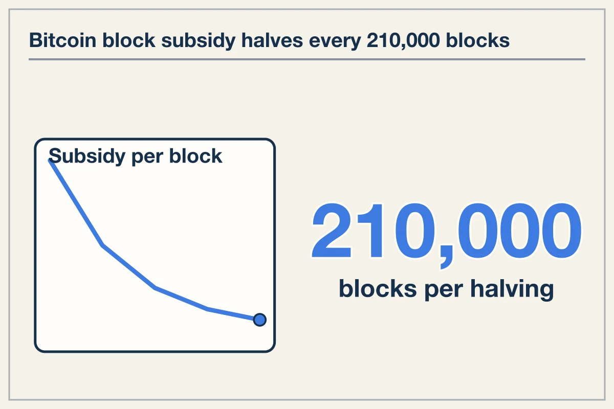 Bitcoin Halving Cuts Block Subsidy 50 Percent Every 210000 Blocks